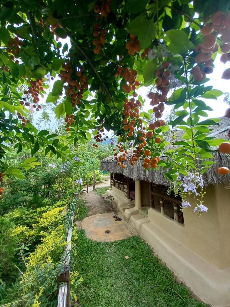 Nature Tones By Brdge Hospitality Maraiyūr Kültér fotó